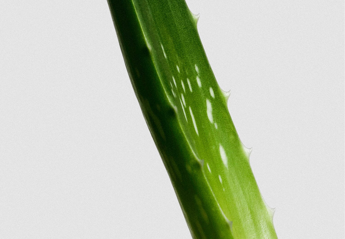 What Is Reactive Skin - And How Can You Calm It?
