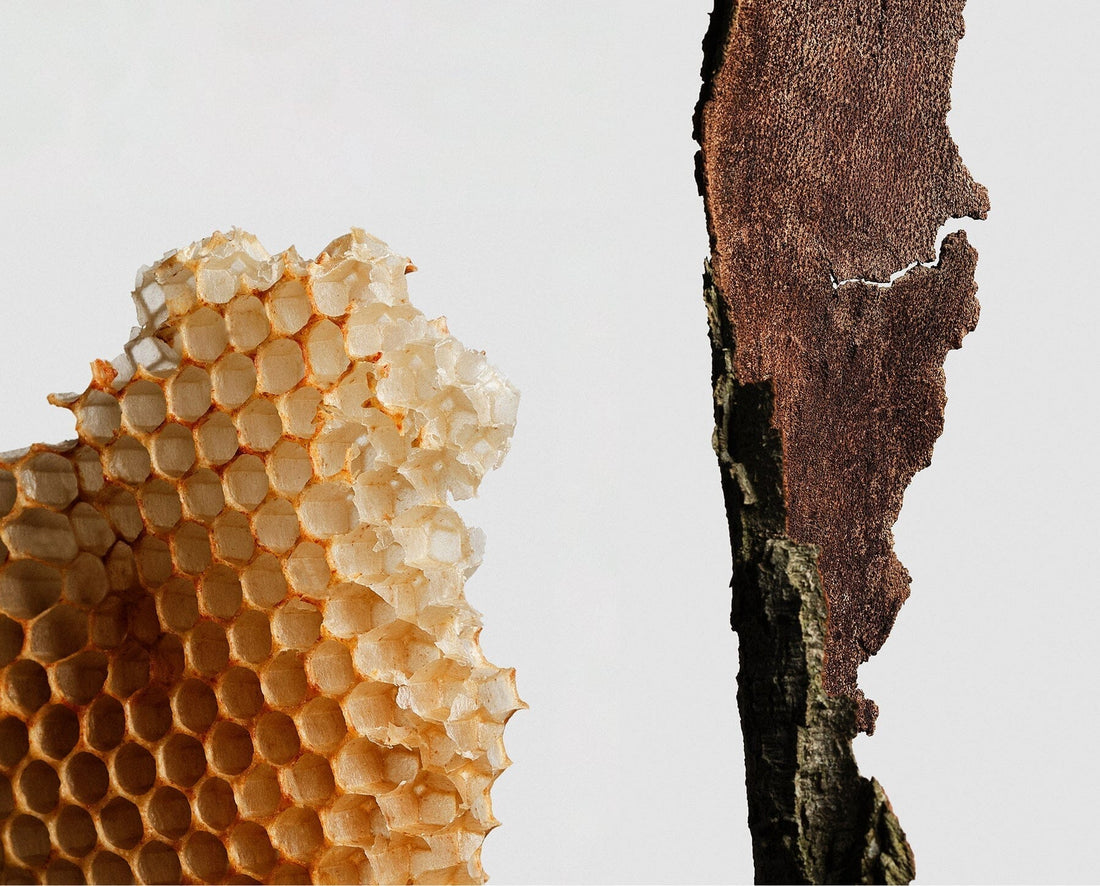 Natural Ingredients - Worth the Hunt? We Say Yes