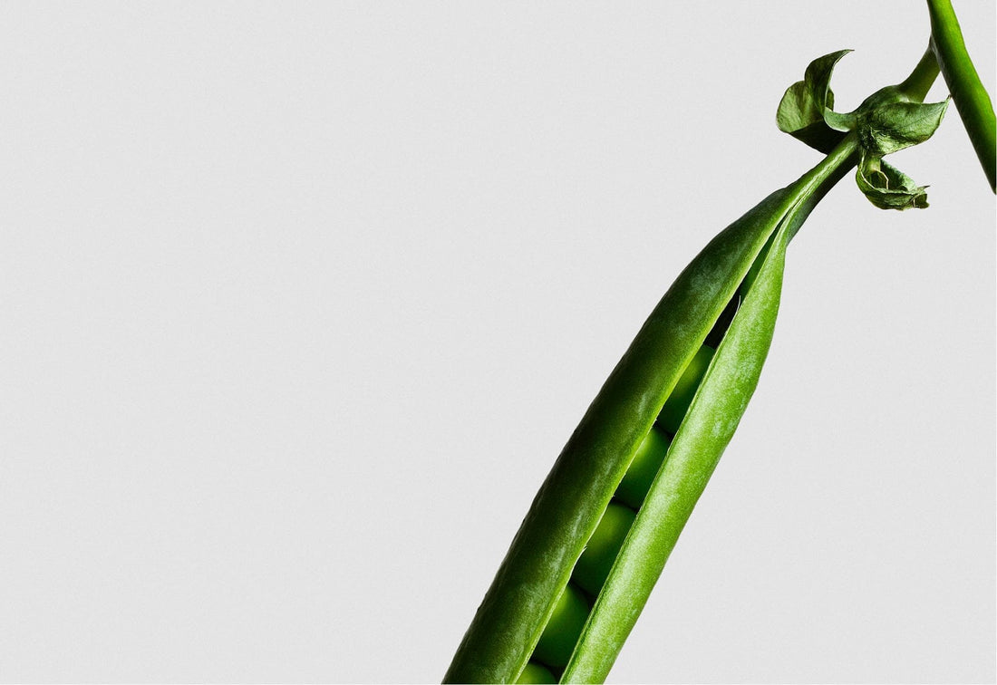 THE SUPERHEROES OF SKINCARE: 8 INGREDIENTS YOUR SKIN SHOULD NOT LIVE WITHOUT