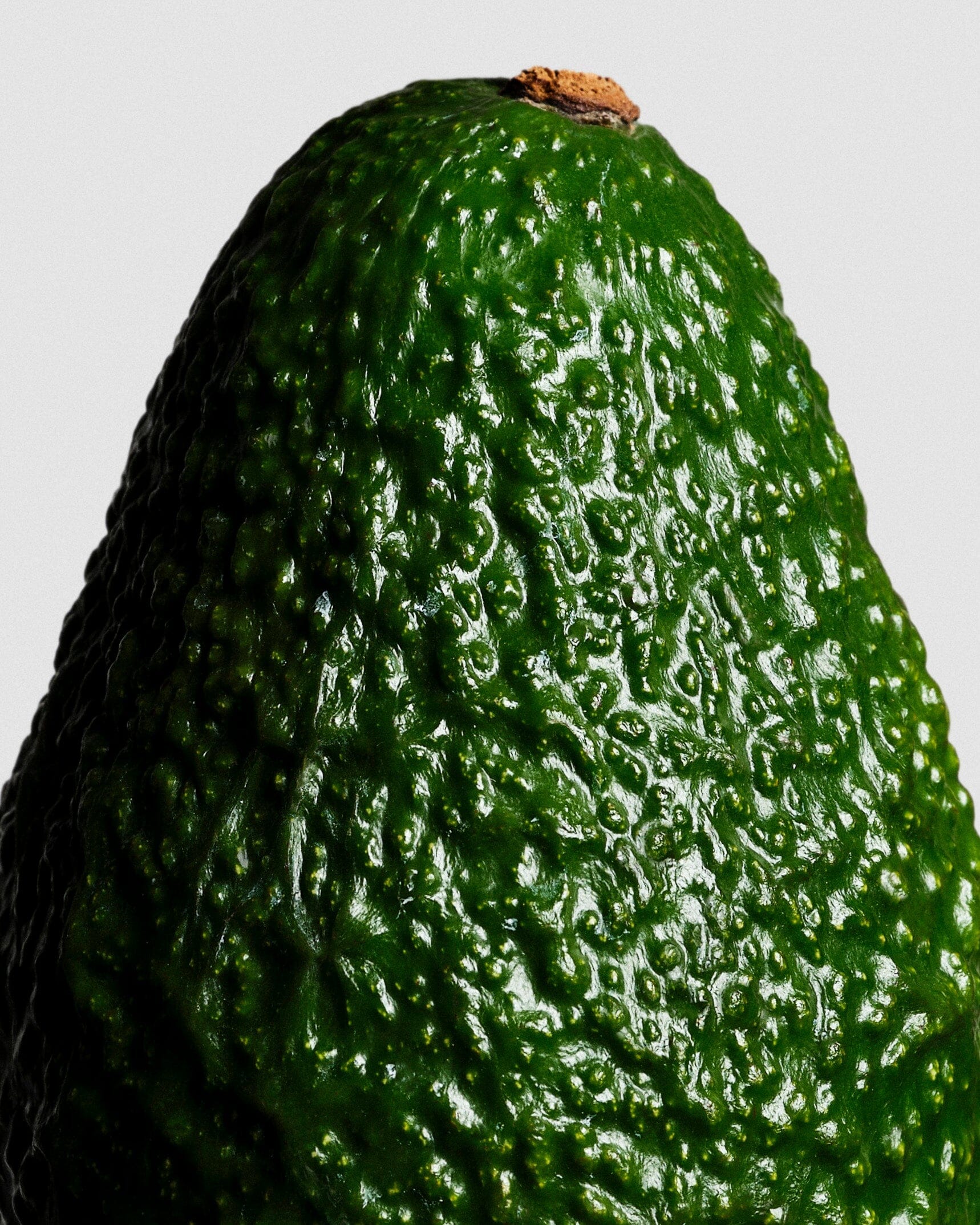 Avocado Oil