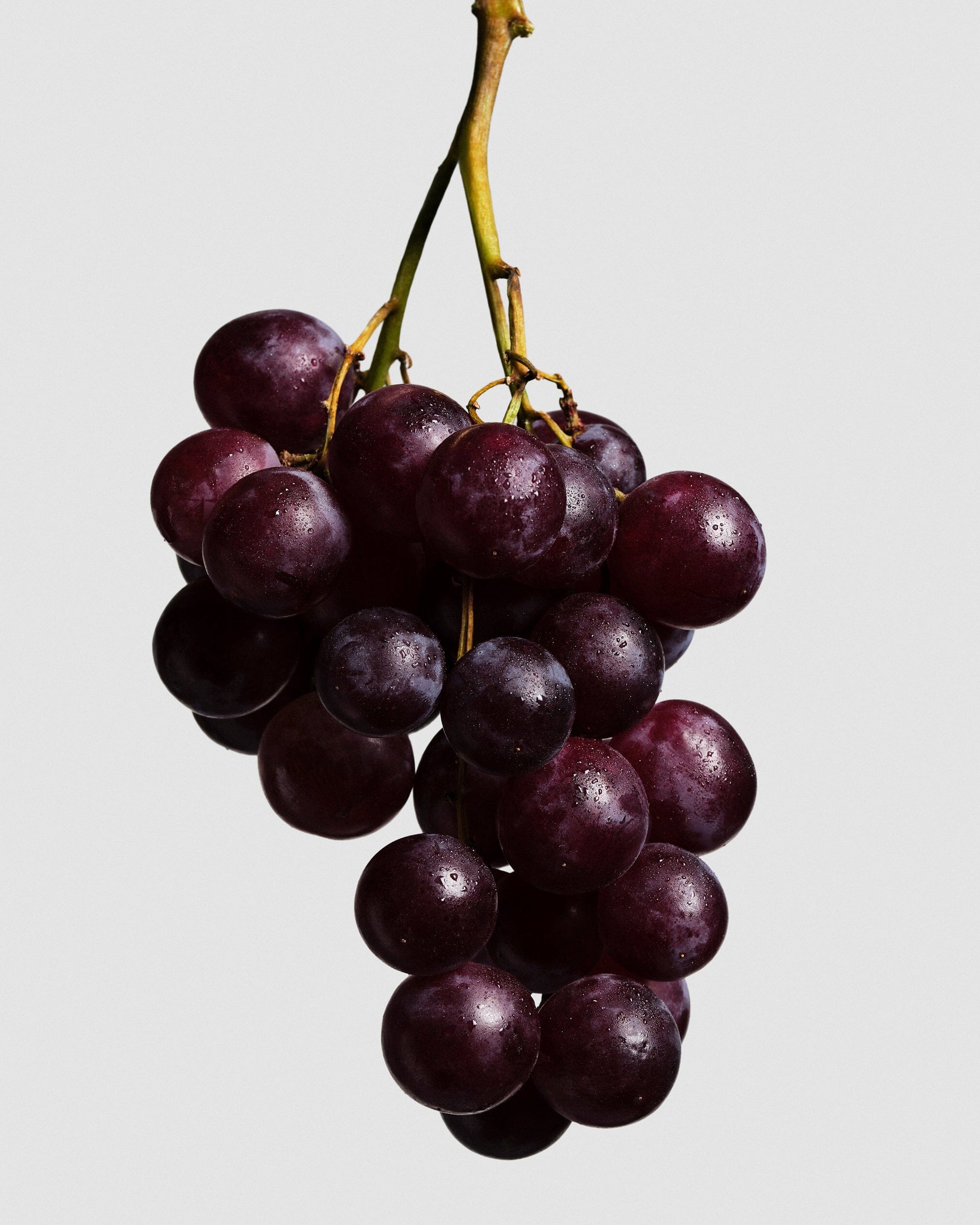 Grape Seed Oil
